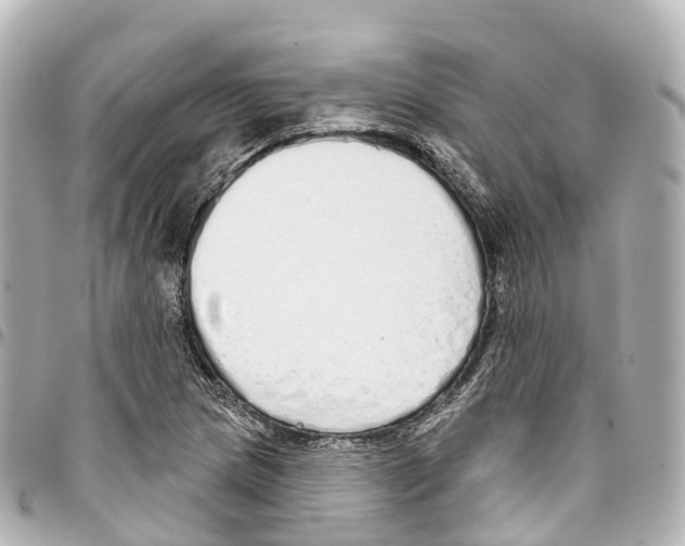 X0000093361217200711081507