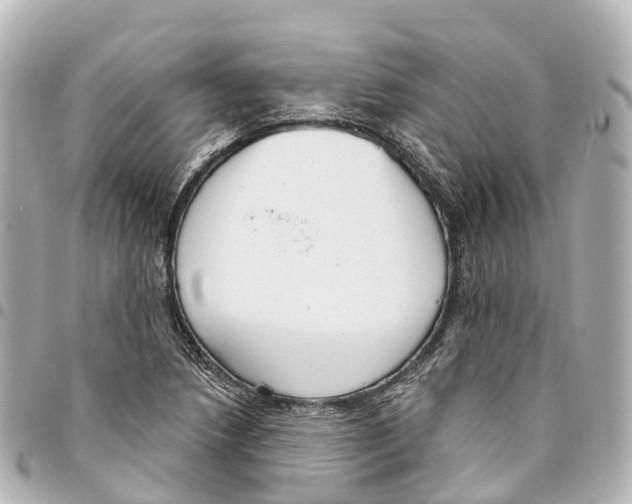 X0000093361218200711081507
