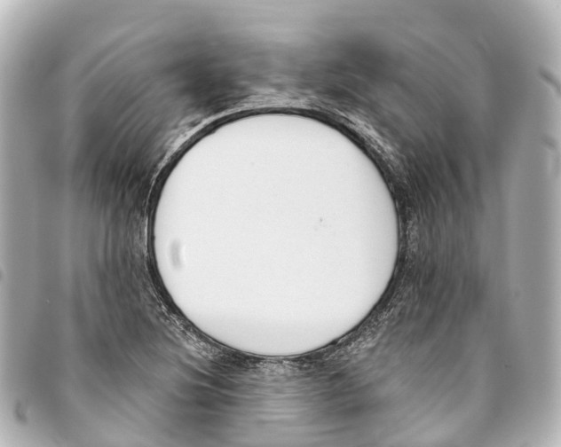 X0000093361220200711081507