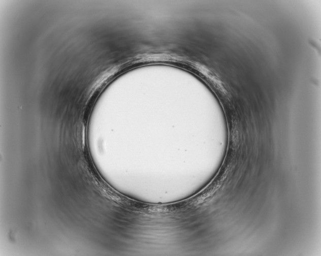 X0000093361221200711081507