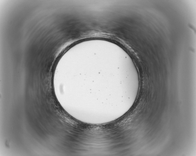 X0000093361222200711081507