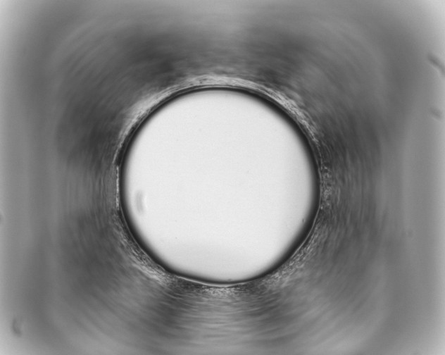 X0000093361223200711081507