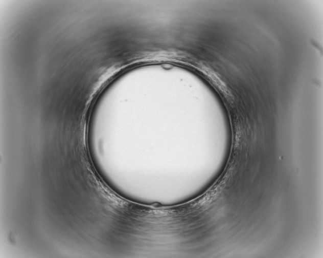 X0000093361224200711081507