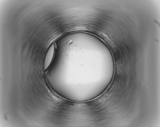 X0000093361225200711081507