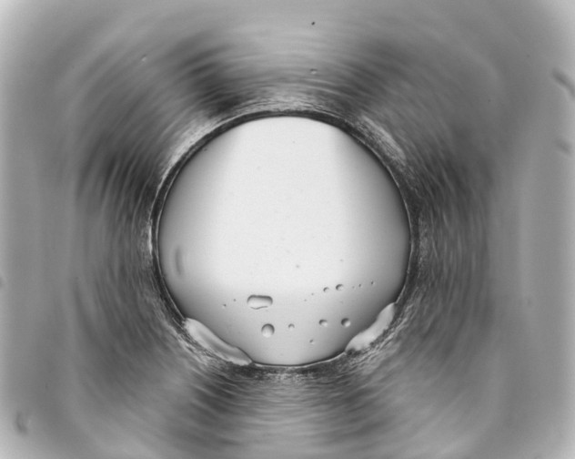X0000093361226200711081507