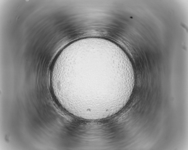 X0000093361227200711081507