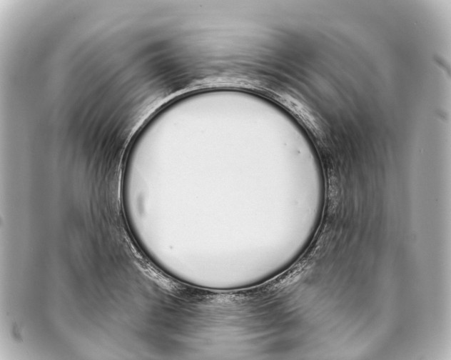 X0000093361228200711081507