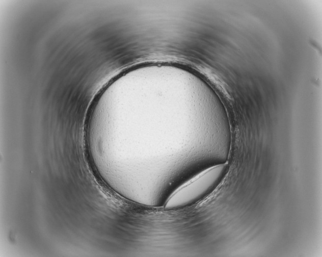 X0000093361229200711081507