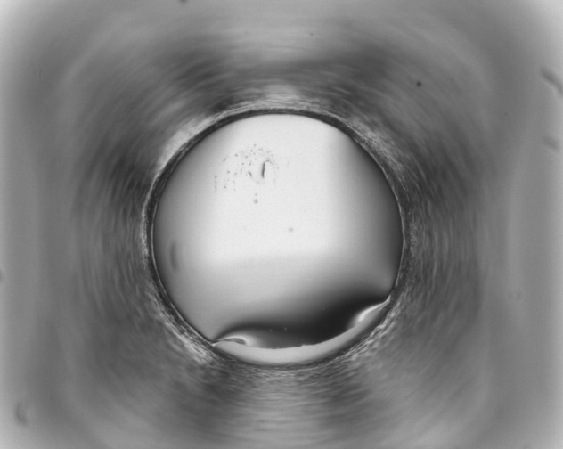 X0000093361230200711081507
