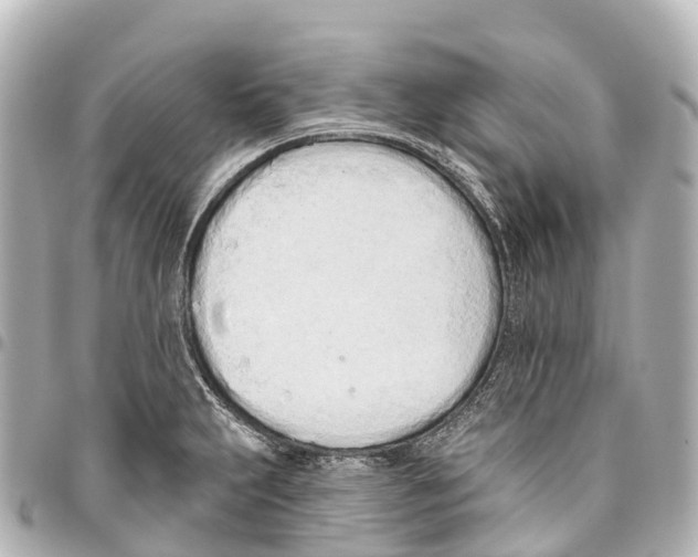X0000093361231200711081507