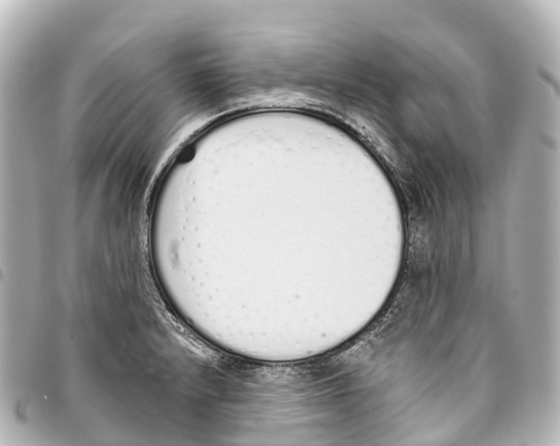 X0000093361232200711081508