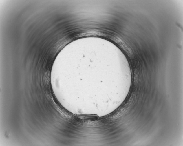 X0000093361233200711081508