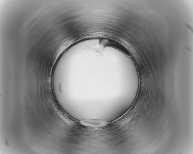 X0000093361234200711081508