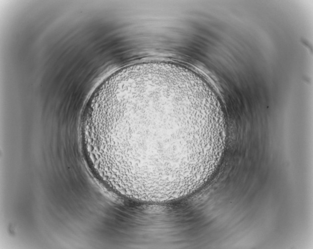 X0000093361235200711081508