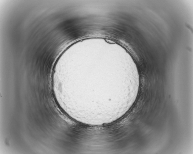 X0000093361236200711081508