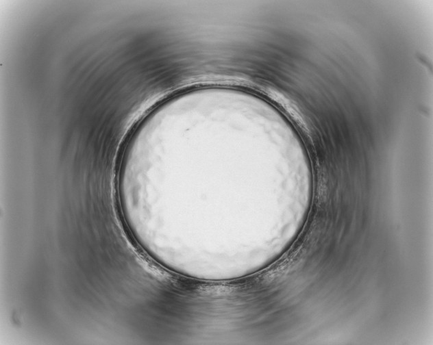 X0000093361237200711081508