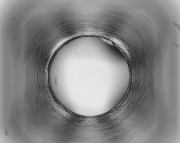 X0000093361238200711081508