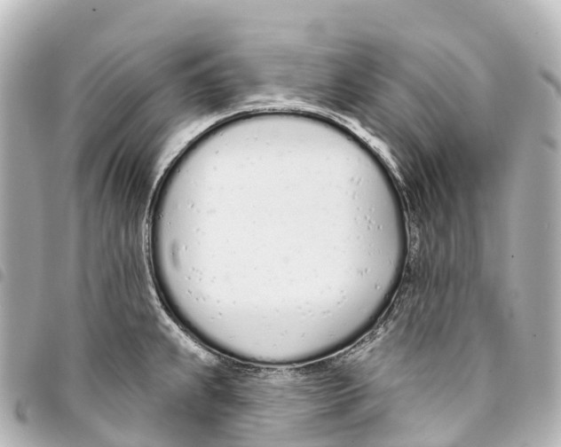 X0000093361239200711081508