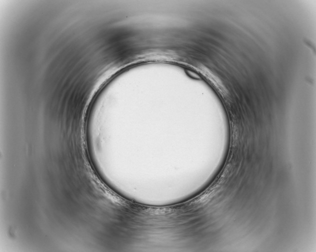 X0000093361240200711081508
