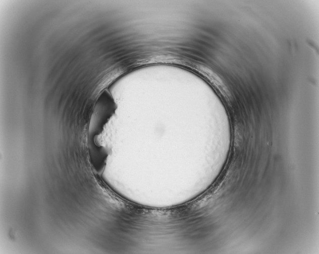 X0000093361241200711081508
