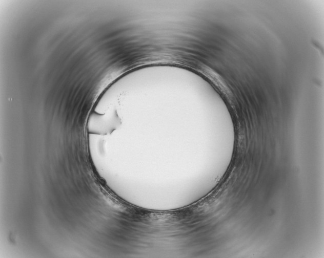 X0000093361242200711081508