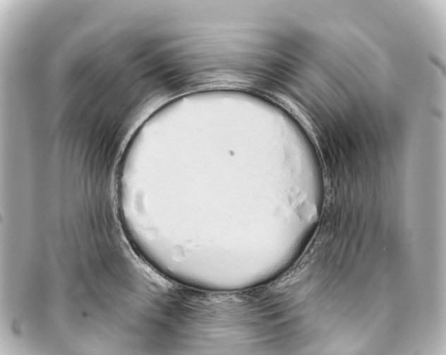 X0000093361243200711081508