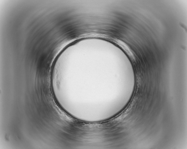 X0000093361244200711081508