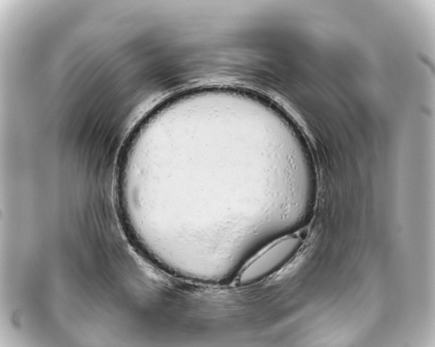 X0000093361245200711081508