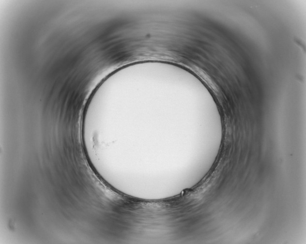 X0000093361246200711081508