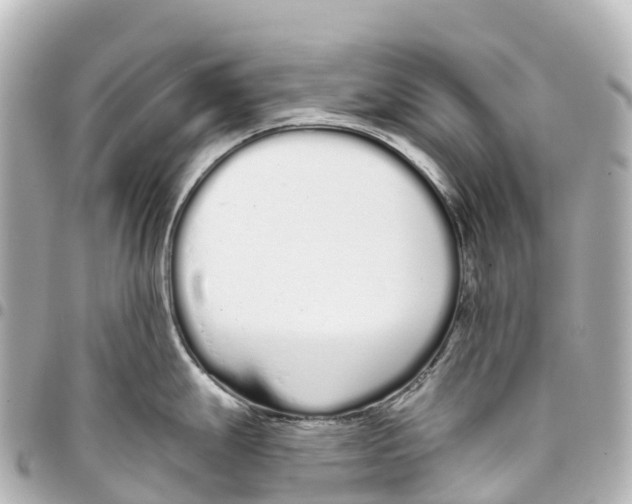 X0000093361247200711081508