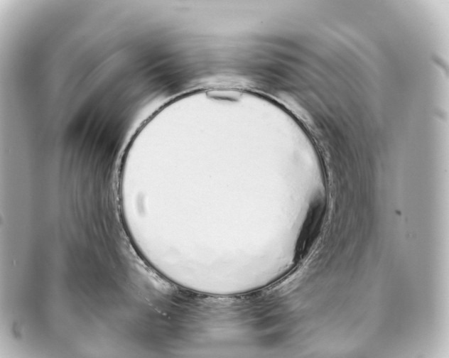 X0000093361248200711081508