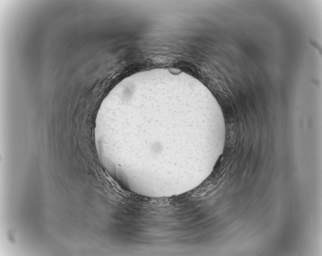 X0000093361249200711081507