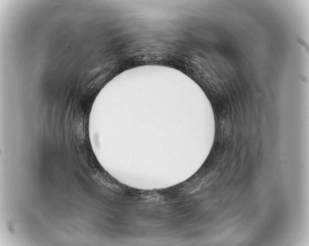X0000093361250200711081507