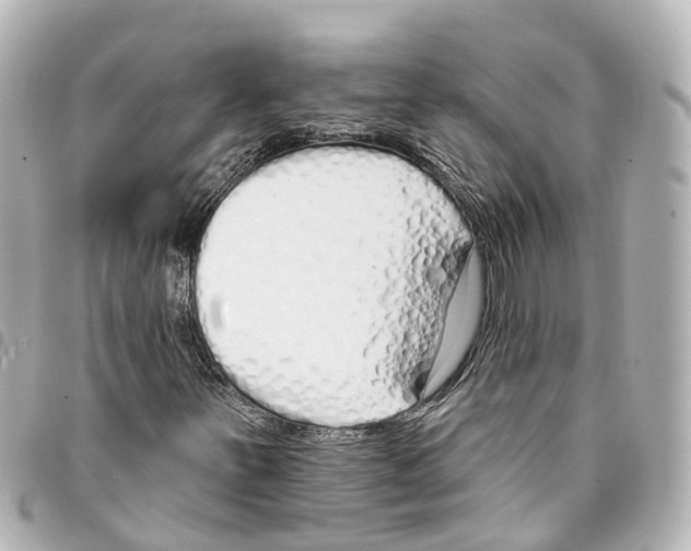 X0000093361251200711081507