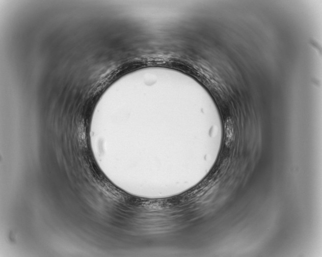 X0000093361252200711081507