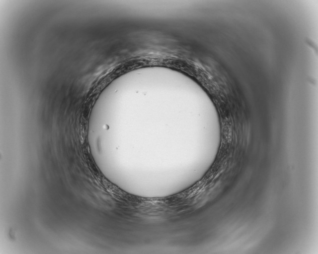 X0000093361253200711081507