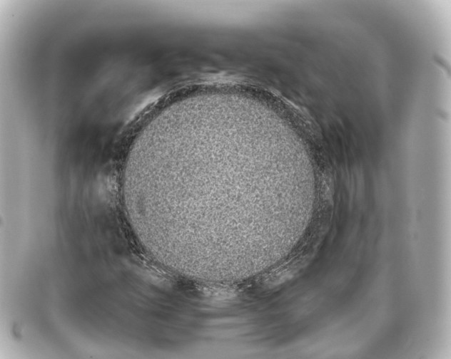 X0000093361254200711081507