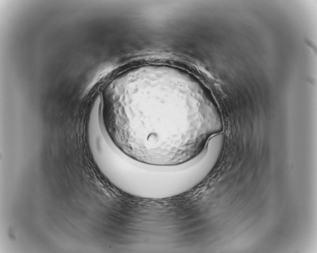 X0000093361255200711081507