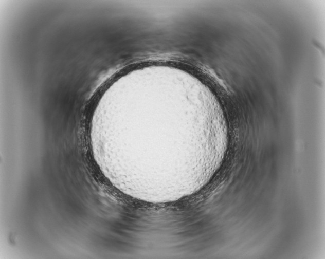 X0000093361256200711081507