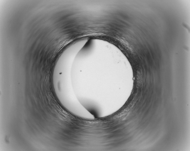 X0000093361257200711081507