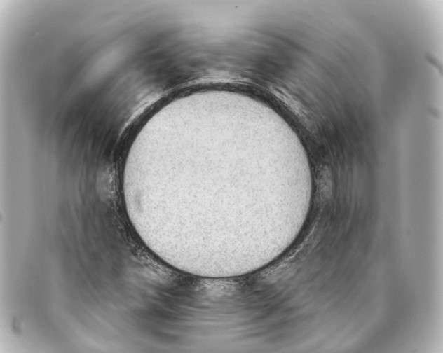 X0000093361258200711081507