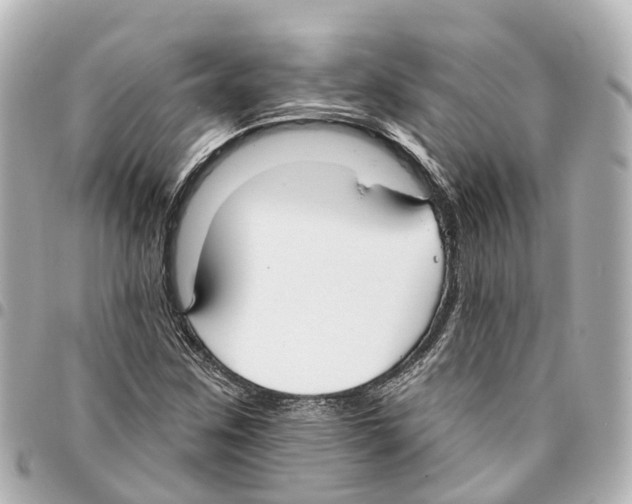 X0000093361259200711081507