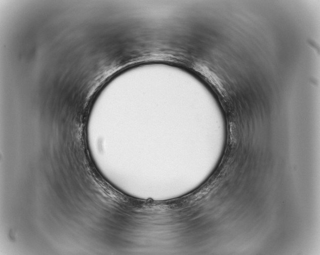 X0000093361260200711081507