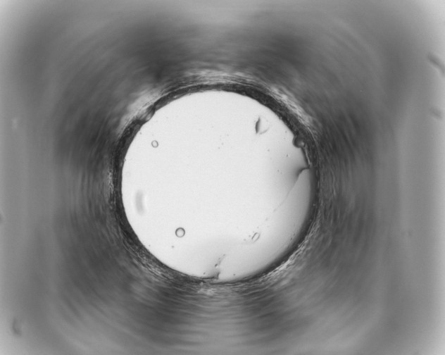 X0000093361261200711081507