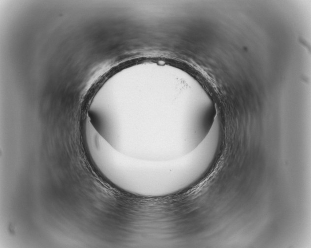 X0000093361263200711081507