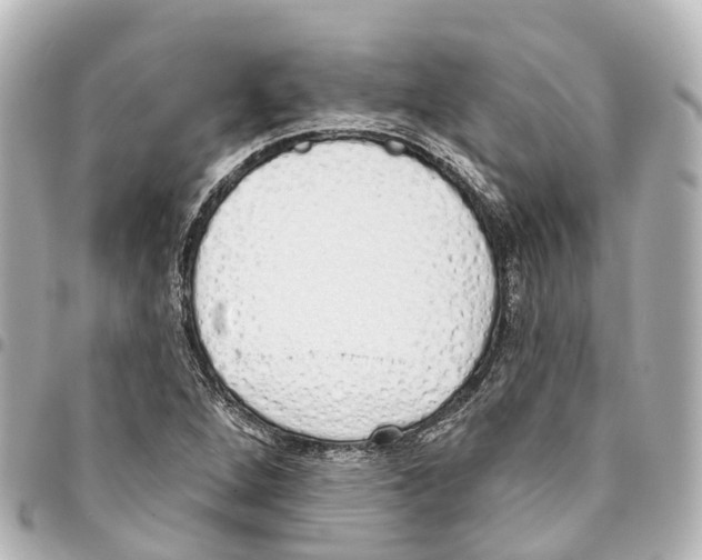 X0000093361264200711081507