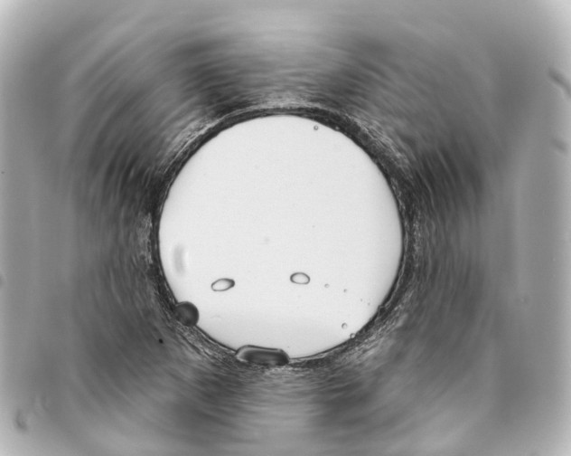 X0000093361265200711081507