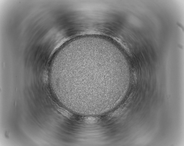 X0000093361266200711081507