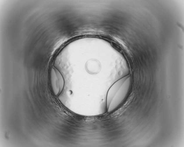 X0000093361267200711081507