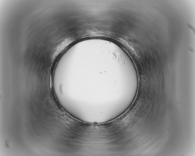 X0000093361269200711081507